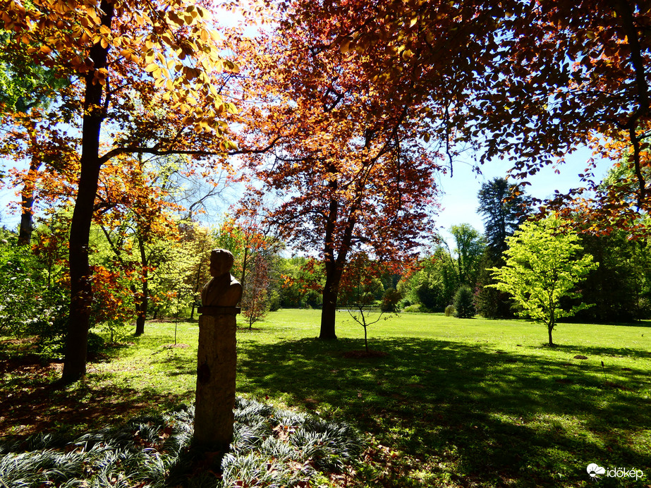 Vácrátóti Arborétum 