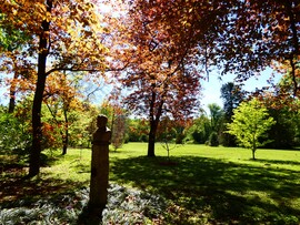 Vácrátóti Arborétum 