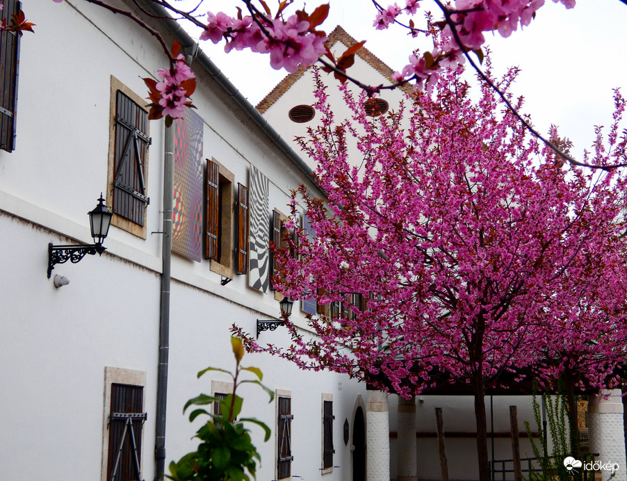 Esős, szeles nap Óbudán