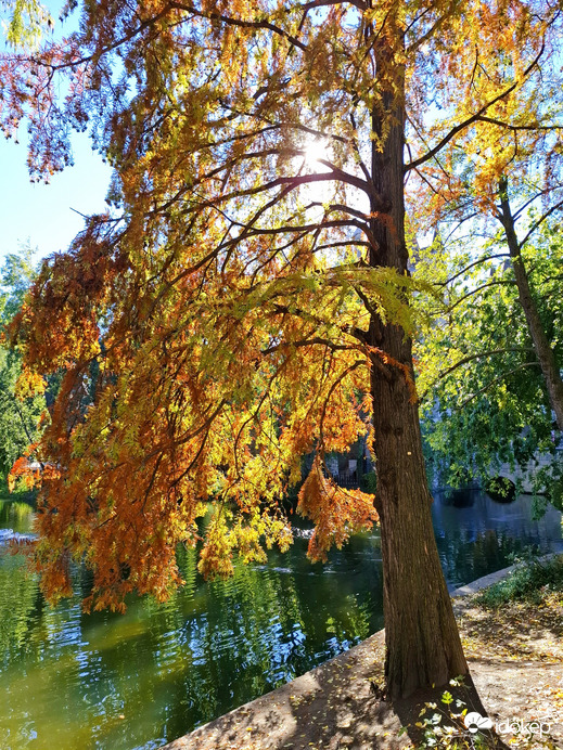 Városliget 