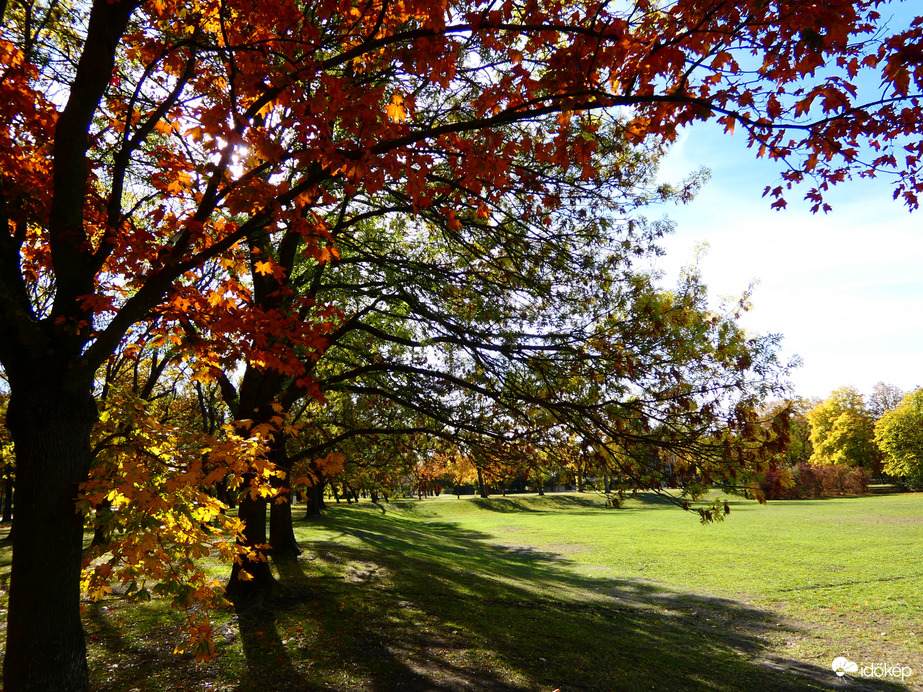 Óbudai-sziget 