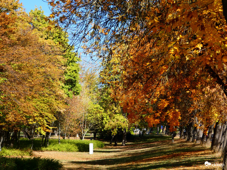Óbudai-sziget 