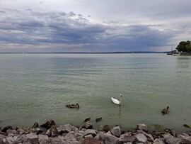 Balatonfüred 