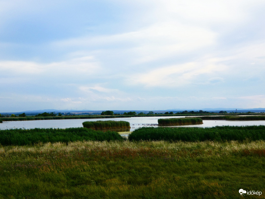 Fertő-tó 