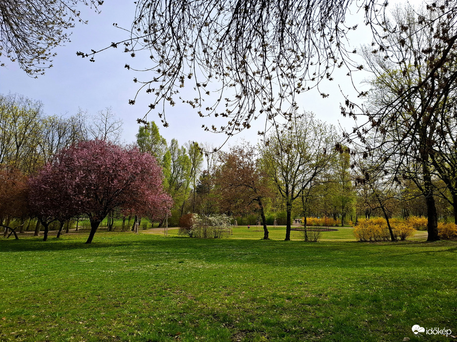 Hajógyári Szigeten