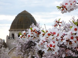 Gellérthegyi kilátások