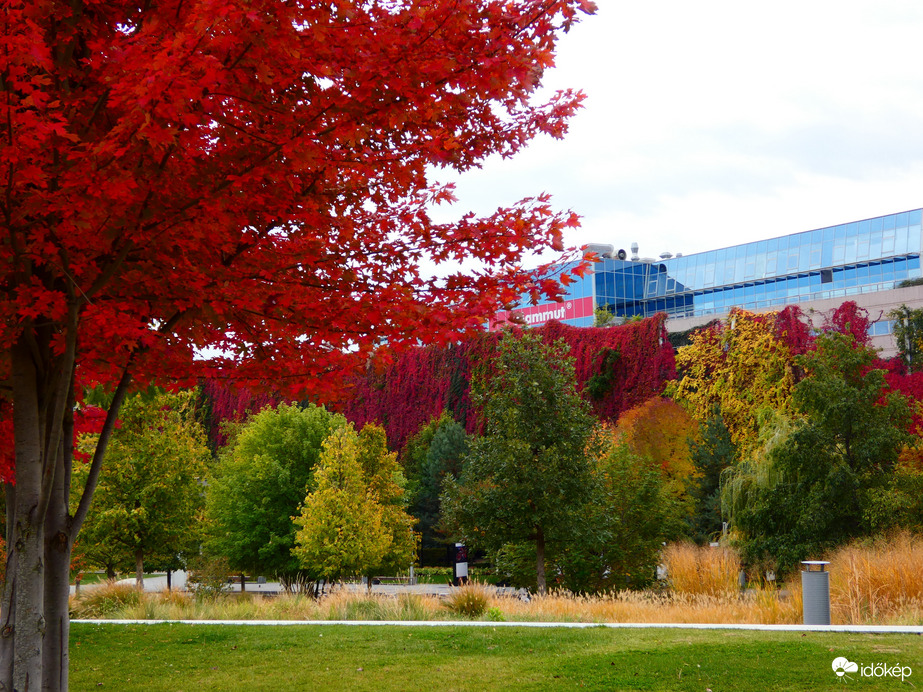 Széllkapu park 