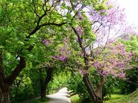 Gellért-hegyen 