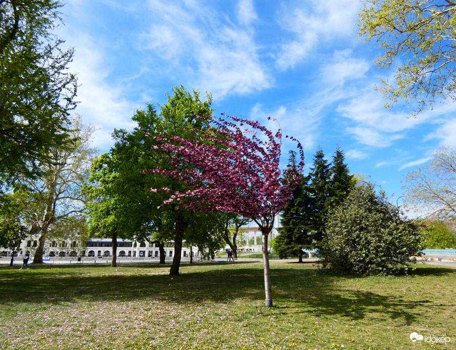 Egy szeles nap a Városligetben 