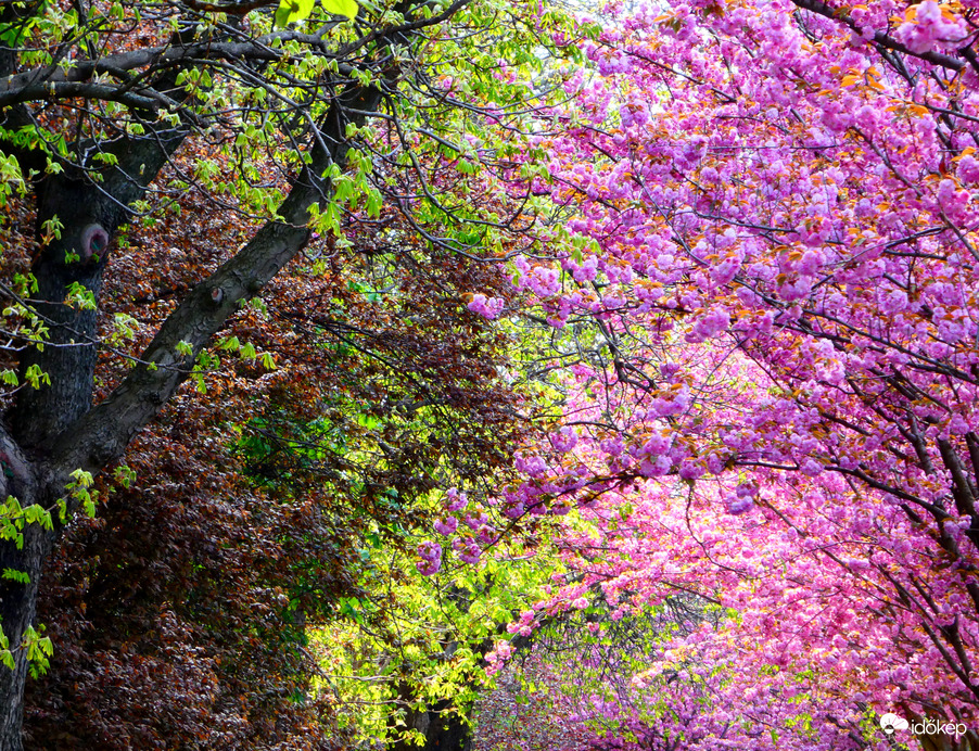 Színek találkozása 