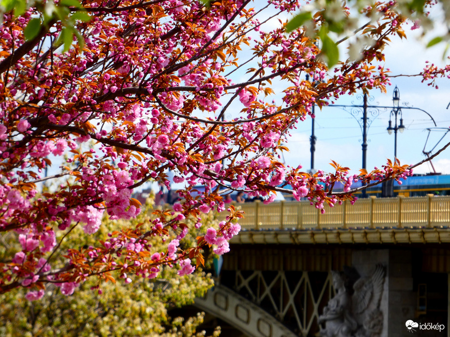 Tavasz Budapesten 