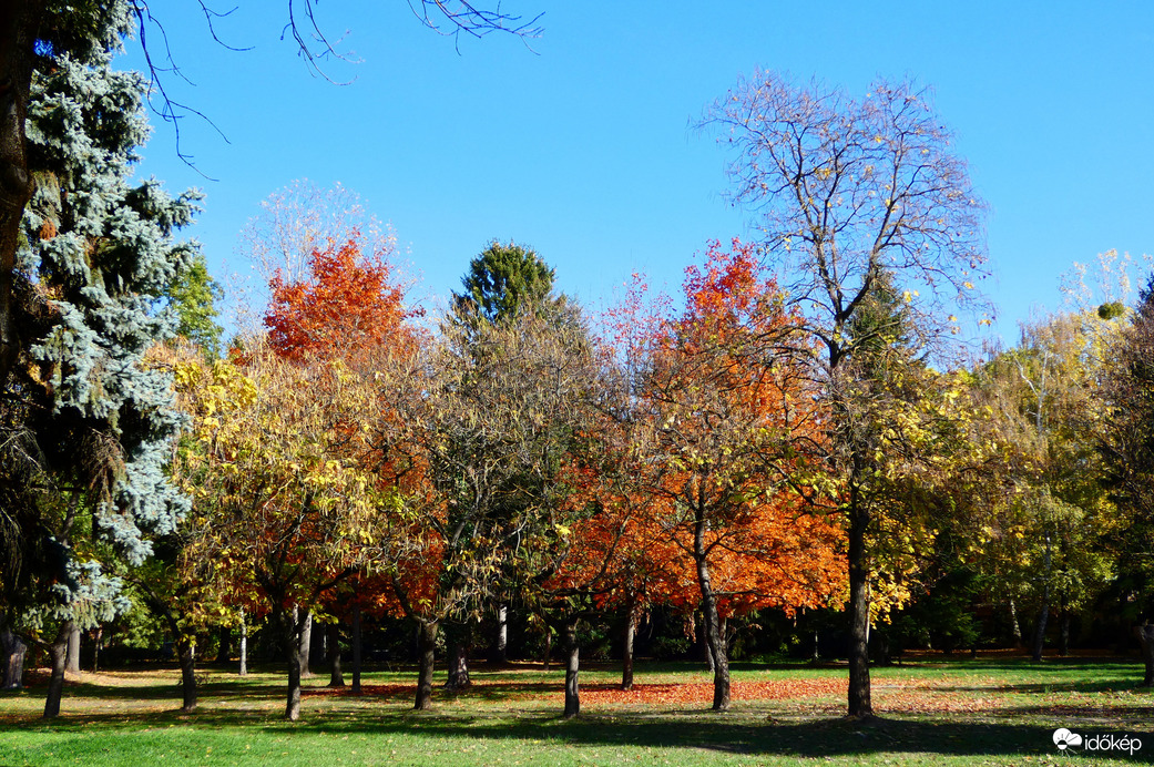 Óbudai-sziget 