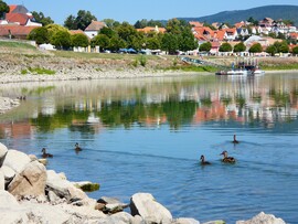 Szentendre 