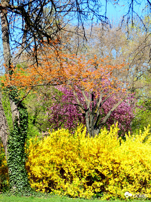 Színkavalkád a Margitszigeten 