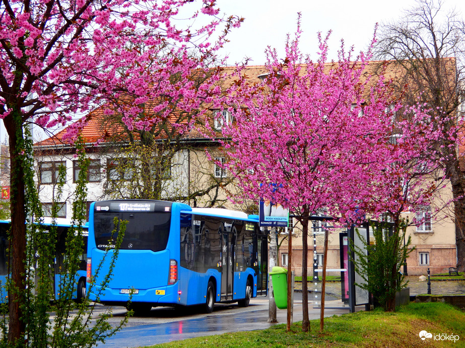 Óbuda, Szentélek tér 