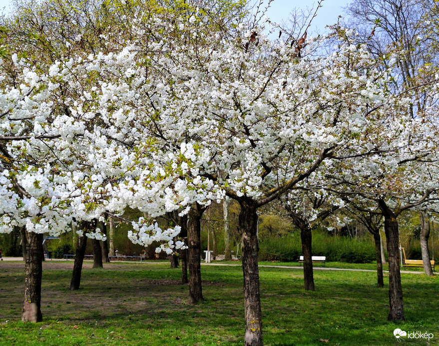 Hajógyári Szigeten
