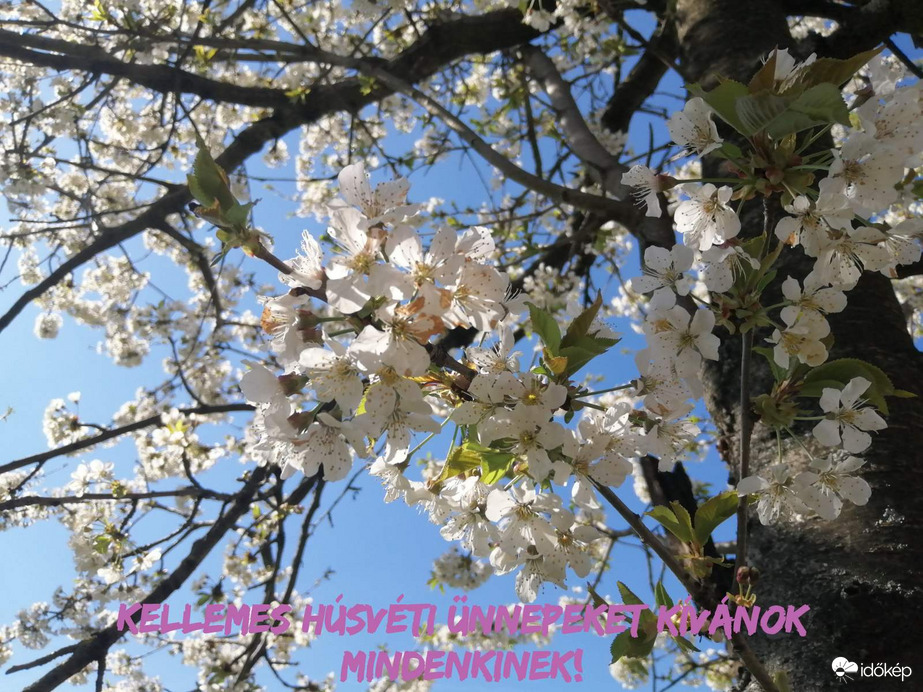 Kellemes húsvéti ünnepeket!