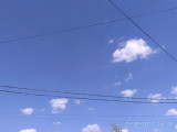 Salonta