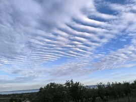 Paloznak