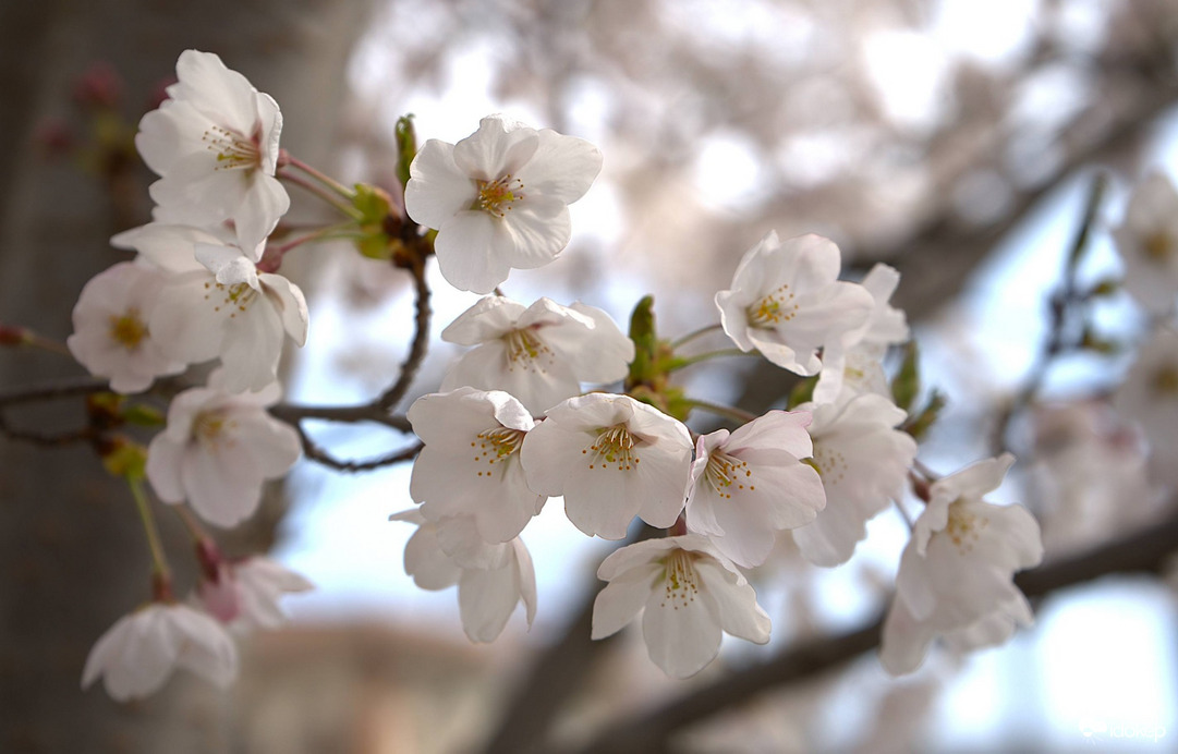 Beköszöntött a tavasz