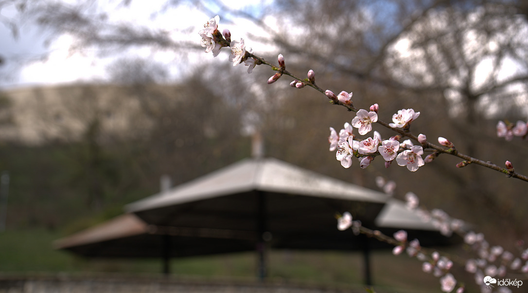 Tavaszodik 