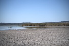 Szárazság