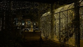 Városliget Fénypark