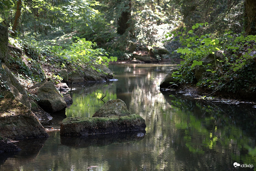 Nyári fények, árnyékok