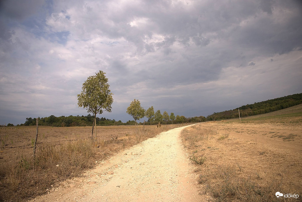 Borús idő