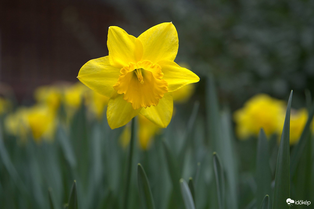 Megérkezett a tavasz