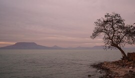 Ködös, borús idő