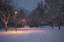 Hajnali kutyasétáltatás