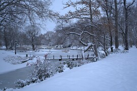 Leesett a Városligetben is