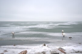 Meghajlás a természet előtt :)