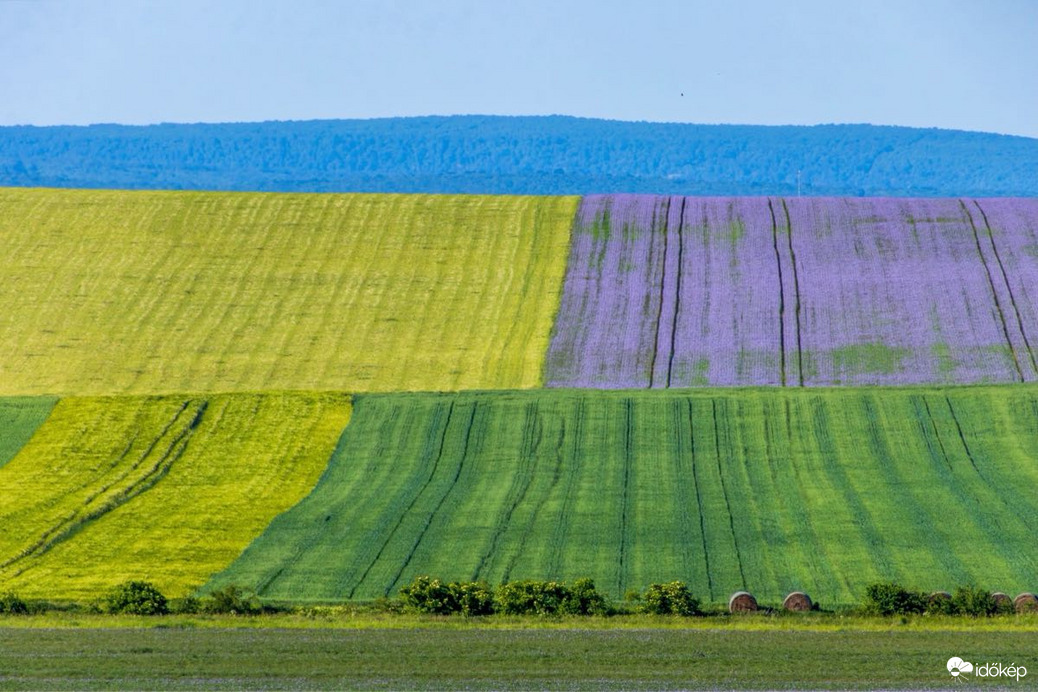 Nagyvázsony