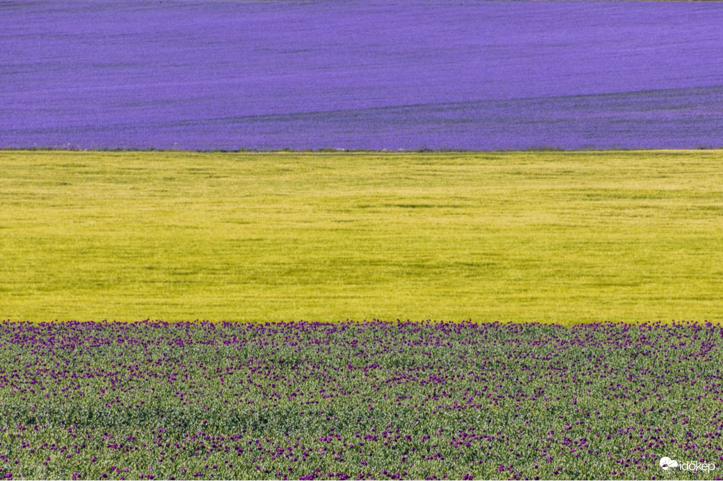 Nagyvázsony