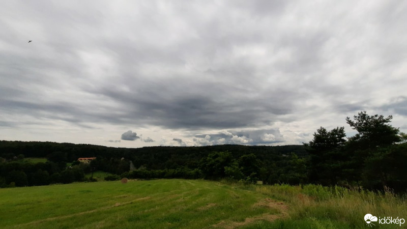 Orfalu