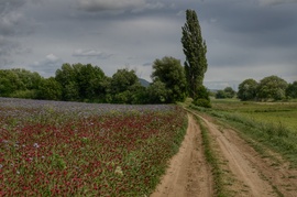 Pilisszántón