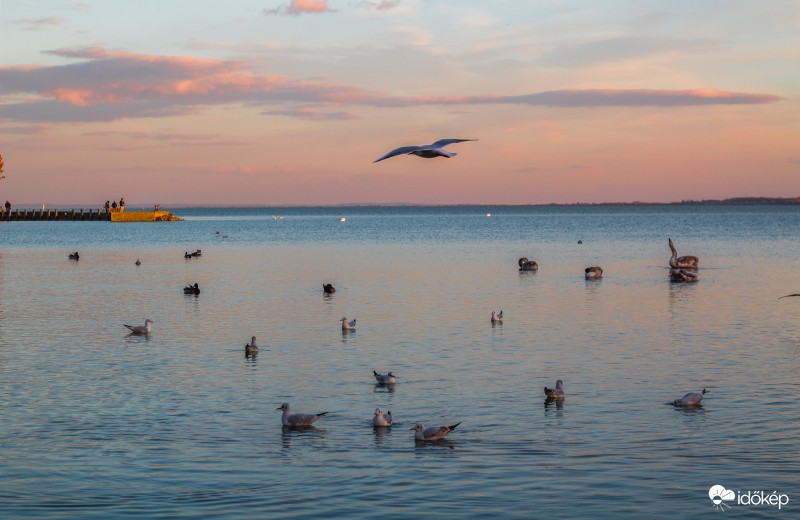 Balaton