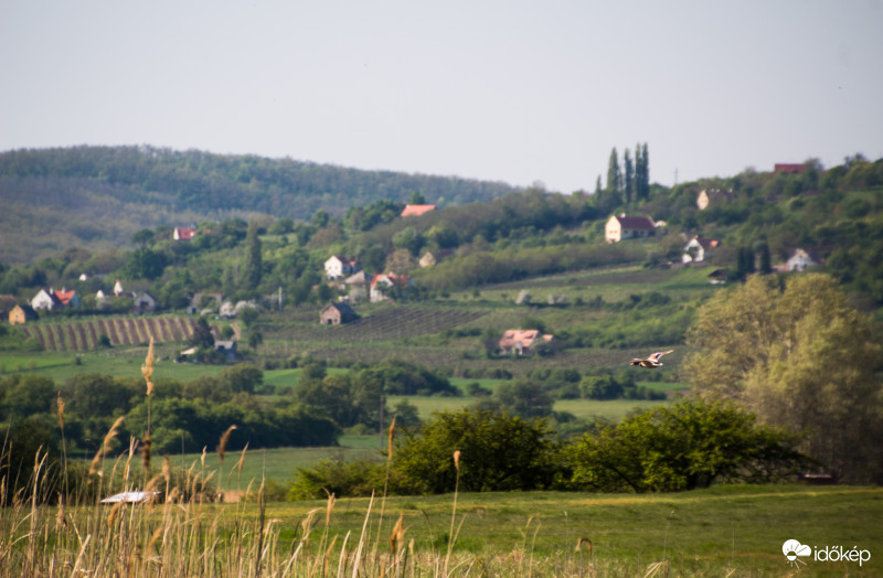 Felszállás