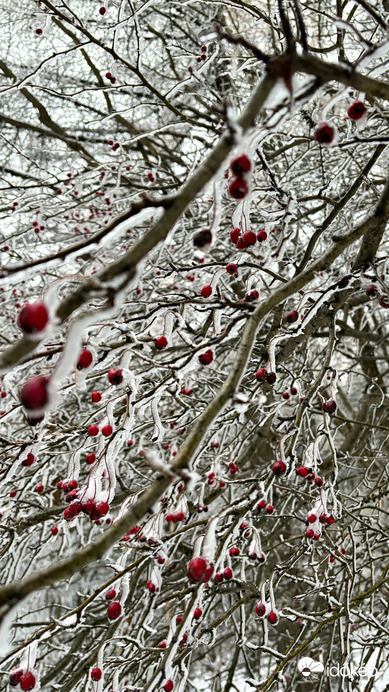 Budapest V.ker - Lipótváros