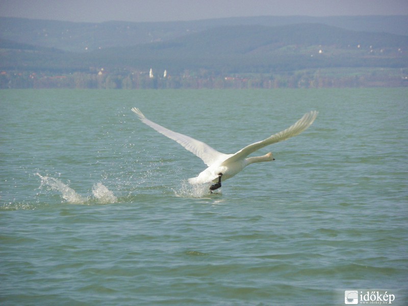 Balatonszárszón