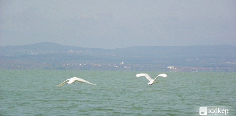 Balatonszárszón