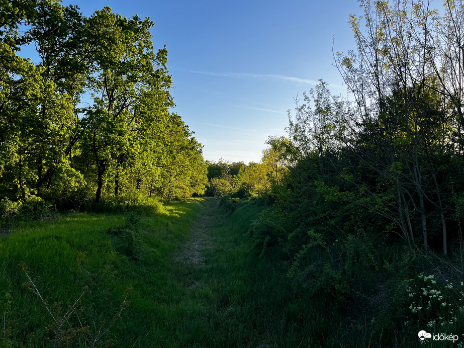 Kiszáradt a csatorna