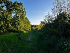Kiszáradt a csatorna