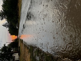 Árvíz