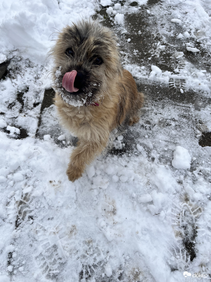 Hó bajszom nőtt :) 