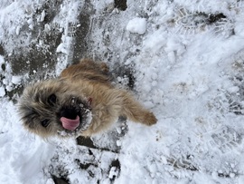 Hó bajszom nőtt :) 