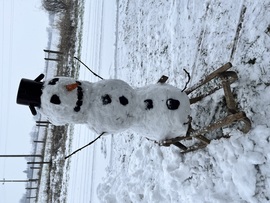 Lábakat is kapott :) 