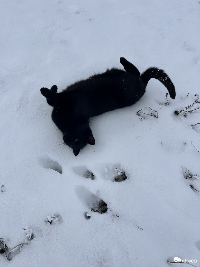 Elkísért fotózni :) 